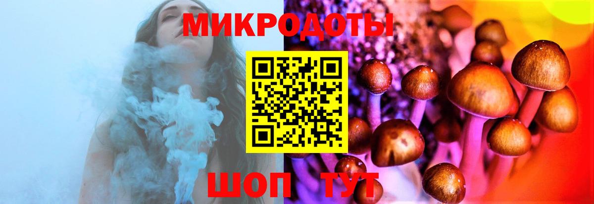 Усть-Лабинск  Псилоцибиновые грибы мицелий  Вход с VPN 